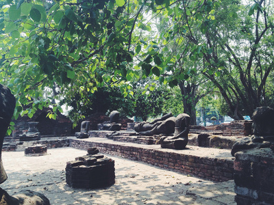 玛哈泰寺寺在大城府历史公园