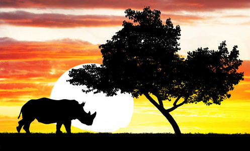 犀牛在日落