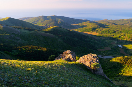 针叶林在山岗上，