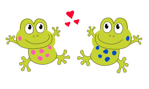 两只青蛙恋人图片