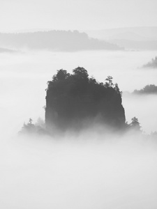 受大雾的秋景。查看到欧洲德国国家公园深处迷雾笼罩的山谷。黑色和白色的图片