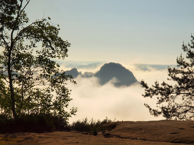 查看通过分支到深迷雾笼罩的山谷内的黎明。雾，薄雾的清晨，砂岩角度，在国家公园萨克森瑞士在德国