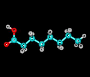 正庚 庚酸分子上黑色孤立