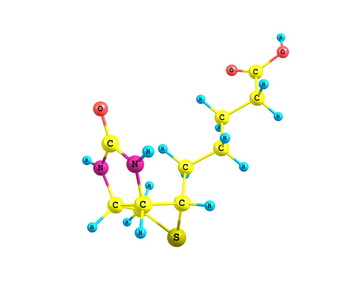 生物素 b7 分子的结构，在白色背景上