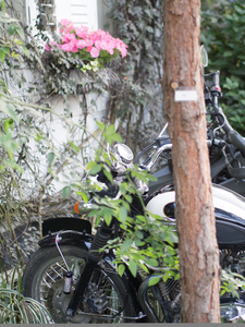 摩托车在花园里