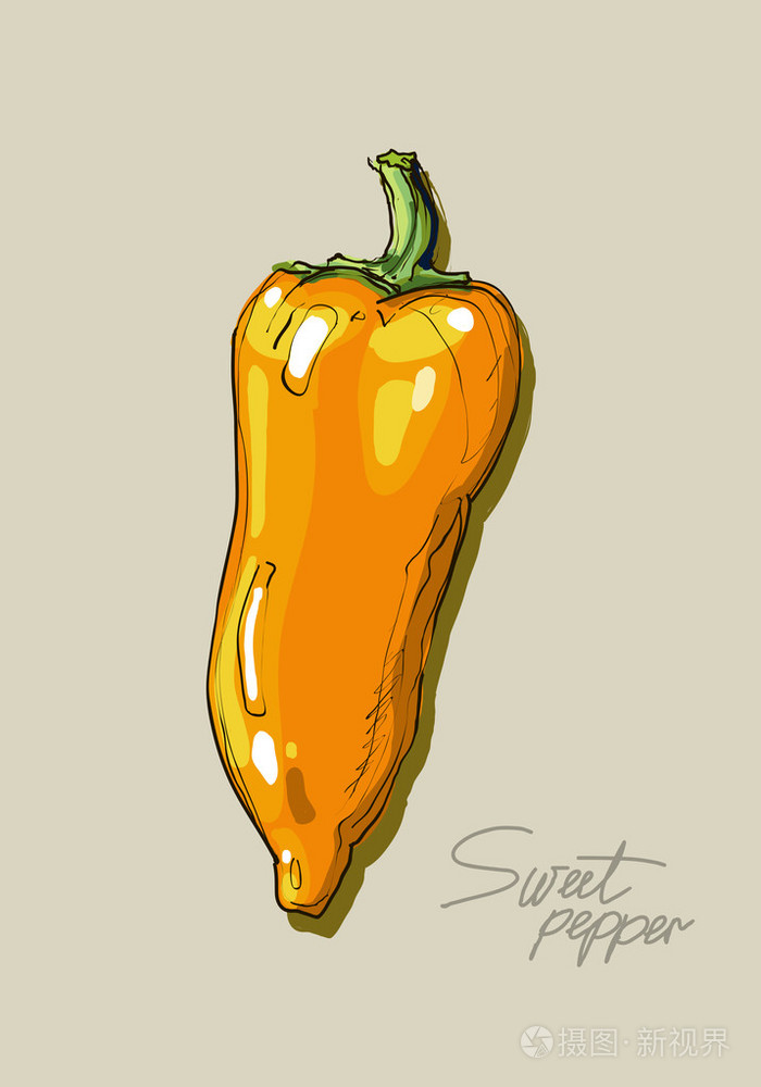 矢量手绘图黄色甜椒