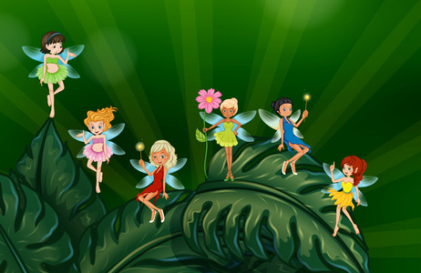 可爱的小精灵照片