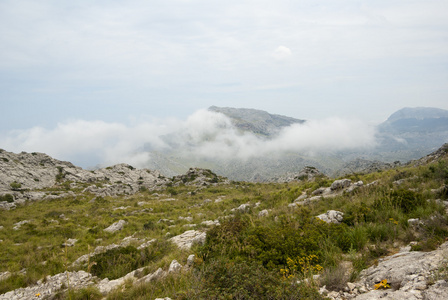 塞拉德 tramuntana