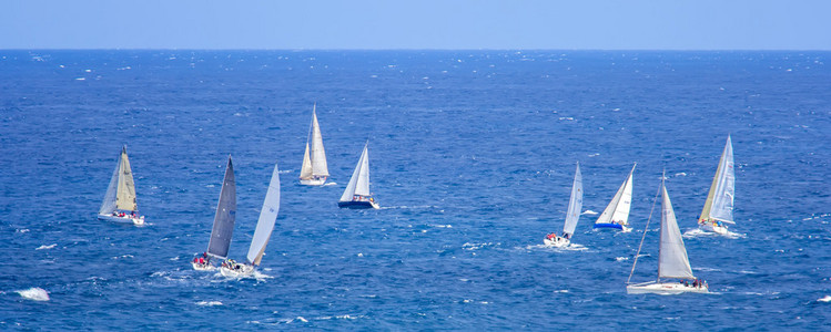 帆船集团帆船赛