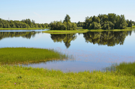 俄罗斯沃洛格达州 borodaevskoye 湖夏季