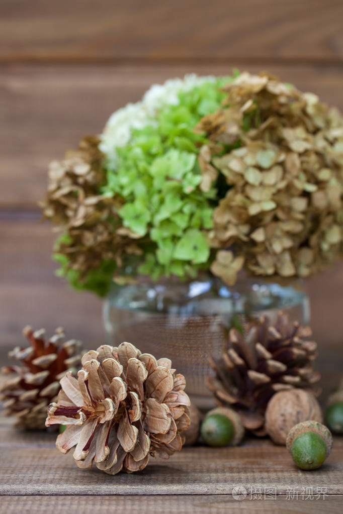 静物画的松果核桃橡子和一个花瓶绿党