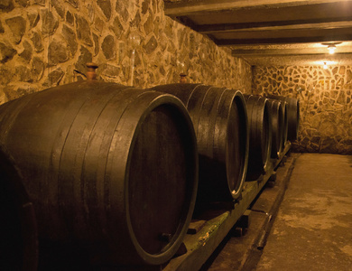 木桶,酿酒工艺,葡萄酒爱好者之旅在一个有着一排排大橡木桶的古老的