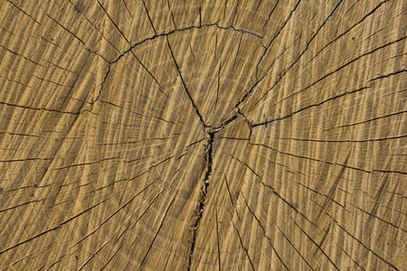 径向裂纹照片