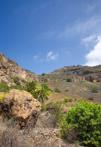大加那利岛，卡尔德拉德均被遗弃的农场
