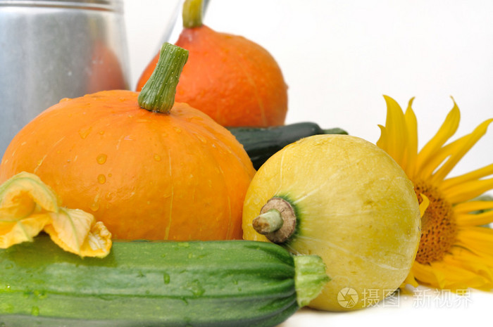 南瓜和西葫芦