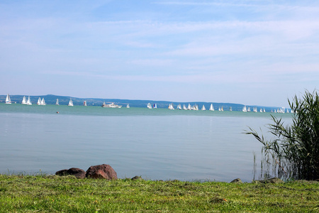 匈牙利夏季巴拉顿湖