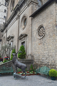 展览在维泰博里菲奥雷第佩莱格里诺圣在圣佩莱格里诺在菲奥雷事件看到维泰博这座历史名城