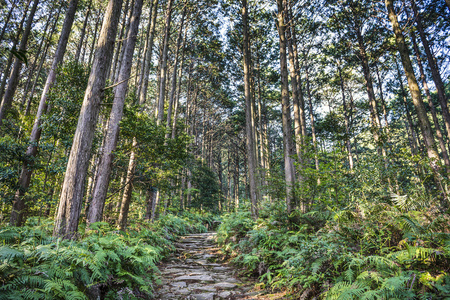 松本在熊野，通过日本