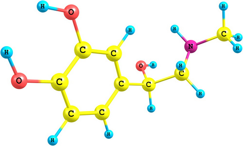 白色背景上的肾上腺素分子