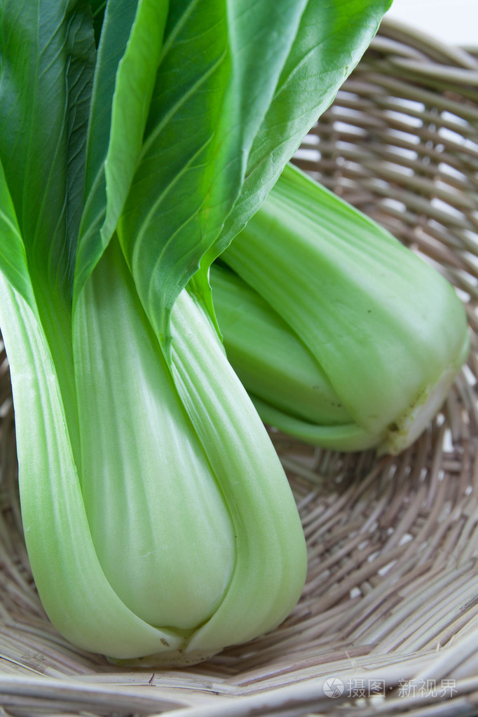 一篮子的小白菜常见的中国菜