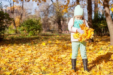 可爱的小女孩在一个阳光明媚的秋日秋草