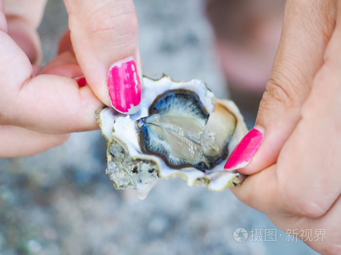 女性持有牡蛎贻贝敞开与粉红色指甲的人