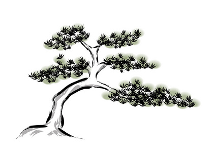 松树老叶图片