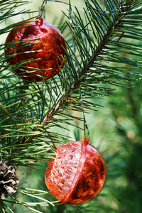 圣诞树上的两个红球