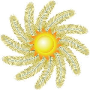 太阳和棕榈