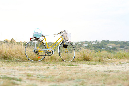 在日落期间草甸的自行车