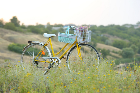 在日落期间草甸的自行车
