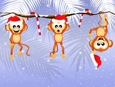在圣诞节的猴子