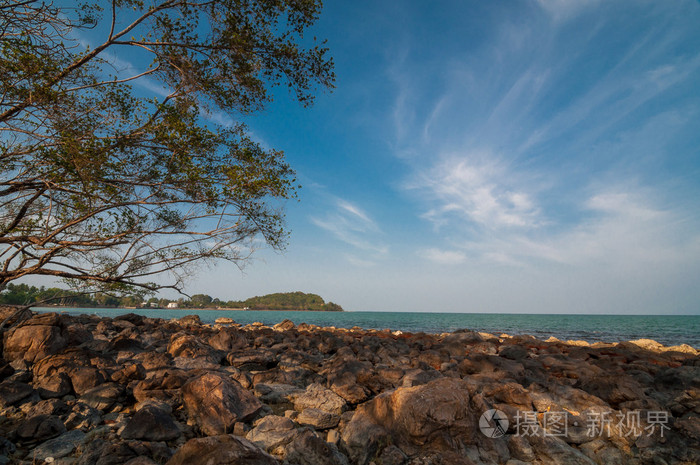 在深南海滩蓝天下的海滩上的树枝