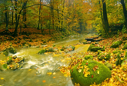 秋天风景山区河流