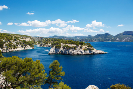 calanques 的黑醋栗，普罗旺斯，法国的端口引脚