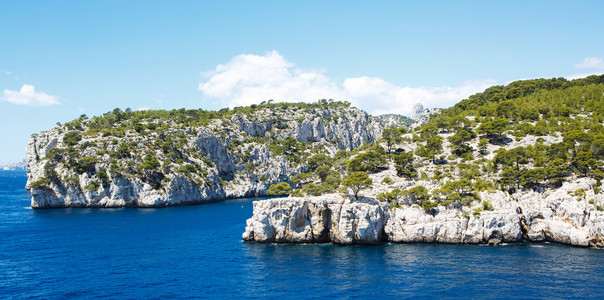 calanques 的黑醋栗，普罗旺斯，法国的端口引脚