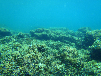 浮潜在亚得里亚海