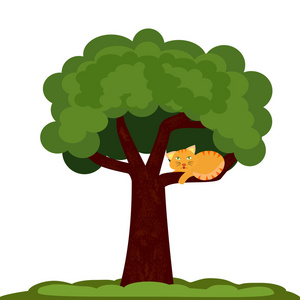 一只猫在树上