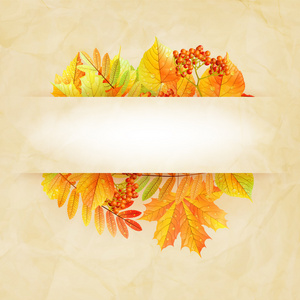 秋天抽象背景与五颜六色的树叶