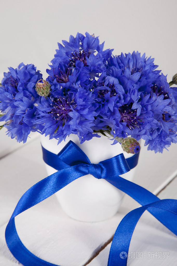 蓝色的矢车菊插在花瓶里用蓝丝带照片-正版商用图片1ggnbz-摄图新视界