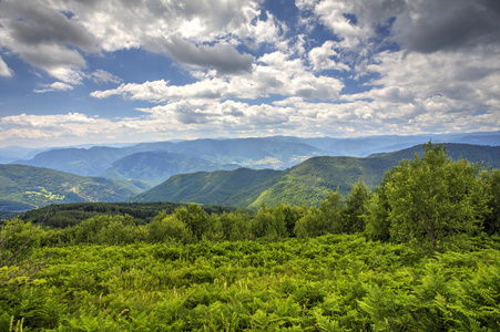 山风景