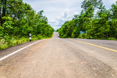 在森林里的路