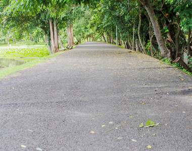 用沥青制成的湖边道路