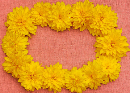 框架的黄色的花，粉红色的布背景