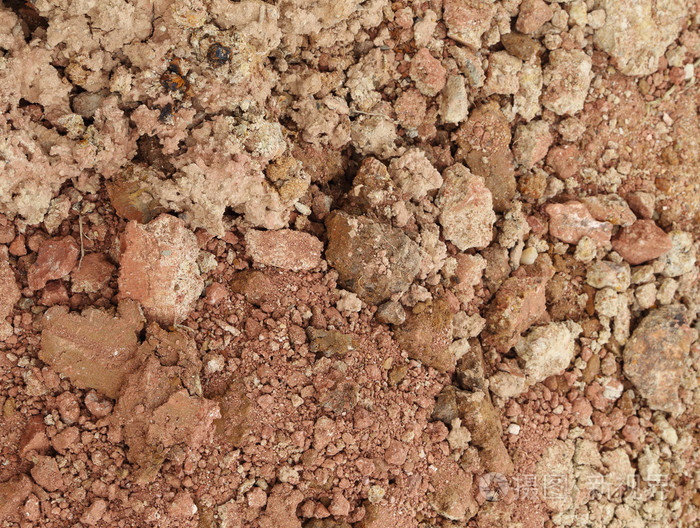 干燥红粘土与石头
