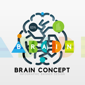 大脑最小线样式信息图表横幅设计