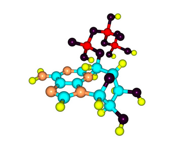 三磷酸腺苷 atp 分子上白色孤立