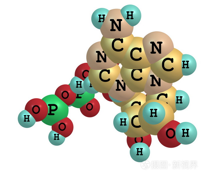 三磷酸腺苷atp分子上白色孤立