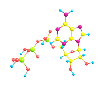 三磷酸腺苷 atp 分子上白色孤立