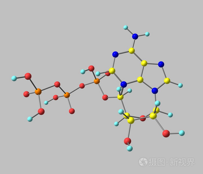 三磷酸腺苷atp分子上灰色孤立